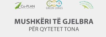 Green Lungs' profile cover